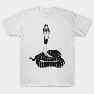 Cobra . T-Shirt